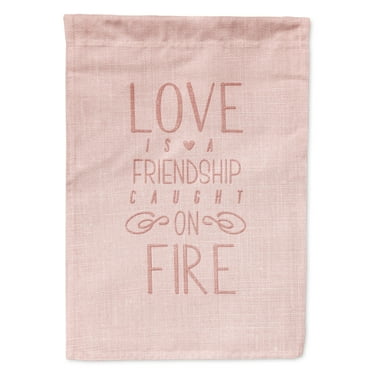 Carolines Treasures BB5459GF Love is a Friendship Flag Garden Size  Small multicolor