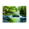 thumbnail image 2 of Acuario Bosque Foto Telón de Fondo para Niño Cumpleaños Decoraciones Bajo el ía , d 079 76 * 46cm Yinane Vinilo decorativo pecera, 2 of 8