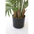 thumbnail image 3 of Artificial Faux Real Touch 5.67 Feet Palm Tree With Planter, 3 of 6