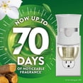 thumbnail image 2 of Air Wick Plug-in Scented Oil Warm Woods and Jasmine Refills, 4 Count, 2 of 3