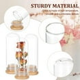thumbnail image 4 of 10 Pack 40ml Glass Decorative Jars Dome Display Bottles Message Wishing Bottles with Bamboo Base for Wedding Favors Flower Gift Christmas Halloween Home Decoration DIY, 4 of 5