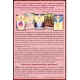 thumbnail image 2 of Oráculo de los Arcángeles Femeninos (Libro y cartas), 2 of 2