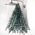 thumbnail image 1 of Eucalyptus seco 16 piezas 40-43 cm tallos naturales para ducha decoración baño hogar relajación, 1 of 8