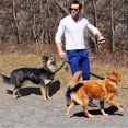 thumbnail image 4 of LLC Dog Poop Bags - Random Color 10-Pack, 9.5x4cm, Pet Waste Bags with Dispenser, 4 of 4