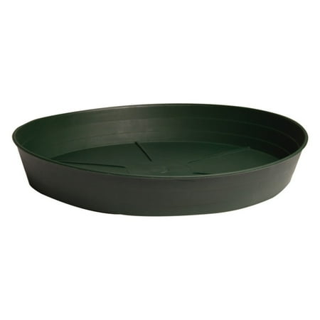 Park Saucer - Green Premium Saucer 8 in. - Pack of 25