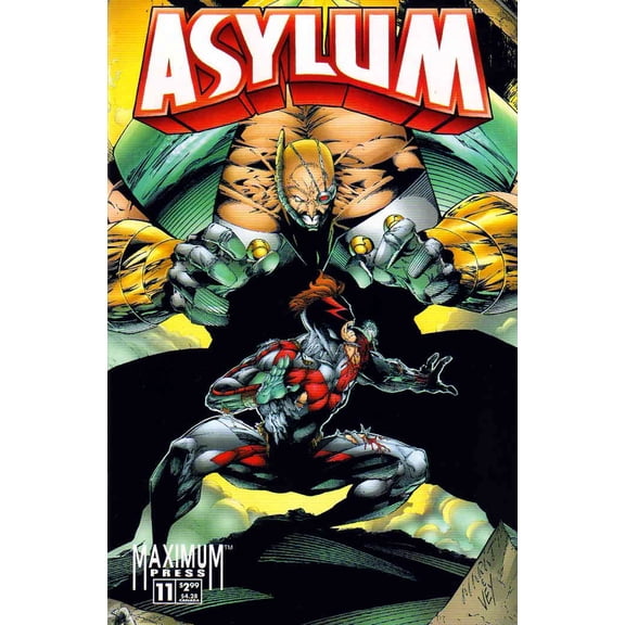 Asylum (Maximum) #11 VF ; Maximum Comic Book