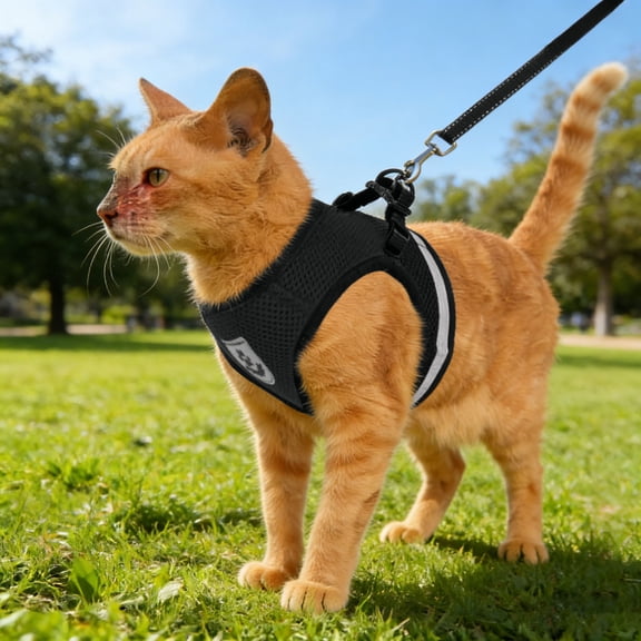 Breathable Mesh Pet Harness and Leash Set with Reflective Strip Adjustable Vest for Small Dogs Cats Walking