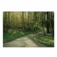 thumbnail image 1 of Outdoor Cutting Board, Footpath Green City Park Sun Rays Freshness Hiking Forest Tranquil Botany, Decorative Tempered Glass Cutting and Serving Board, Small Size, Green Beige Yellow, by Ambesonne, 1 of 1