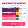 thumbnail image 4 of YWC-Resistance Bands – 5-Pcs Resistance Bands for Working Out with Carry Bag – Elastic Bands for Exercise – Natural Rubber Workout Bands with Exercise Guide – Fitness Bands for Pilates, Gym, 4 of 4