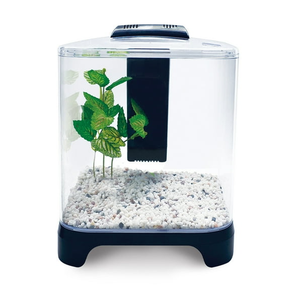 Acuario Mini Lomas 6 L
