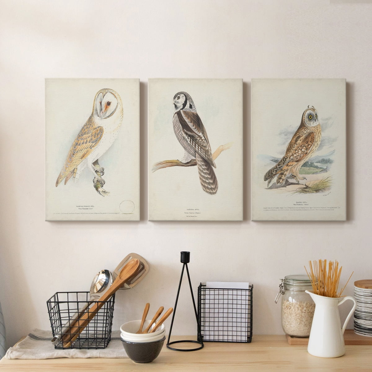 Barn Owl Premium Gallery Wrapped Canvas - Ready to Hang - 18 x 27 Each