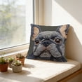 thumbnail image 4 of Tuvgenk Throw Pillow Covers Indoors Polyester Embroidered 18x18 In Pillowcases Multicolor Decor Cat for Patio, 4 of 6