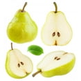 thumbnail image 2 of Yellow Green Pears Wall Decal Sticker Set Wallmonkeys Individual Peel and Stick Graphics on a (24 in H x 22 in W) Sticker Sheet WM502511, 2 of 4