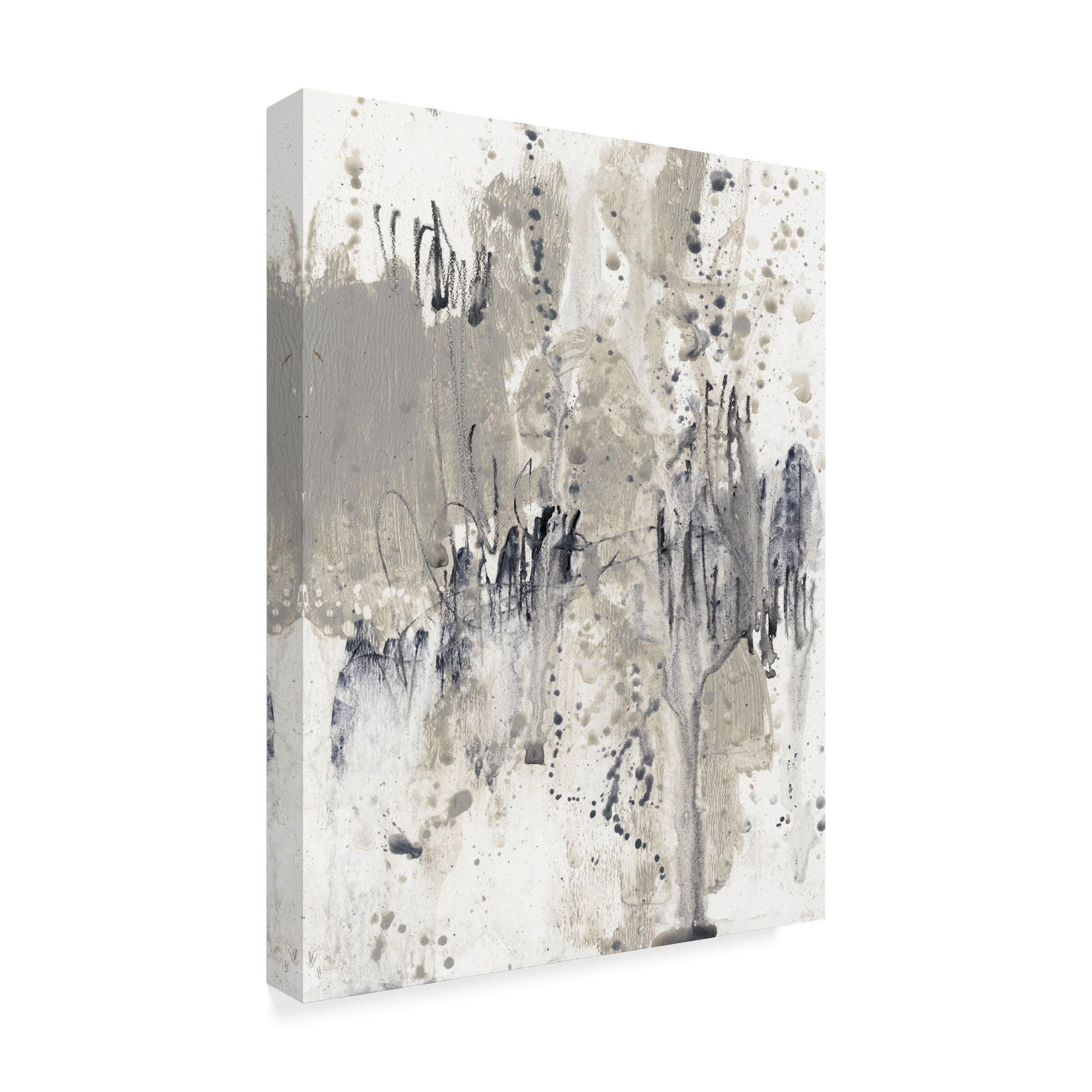 Trademark Fine Art 'Paynes Splash II' Canvas Art by Jennifer Goldberger