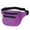 Purple, variant on 3 Zippered Fanny Pack