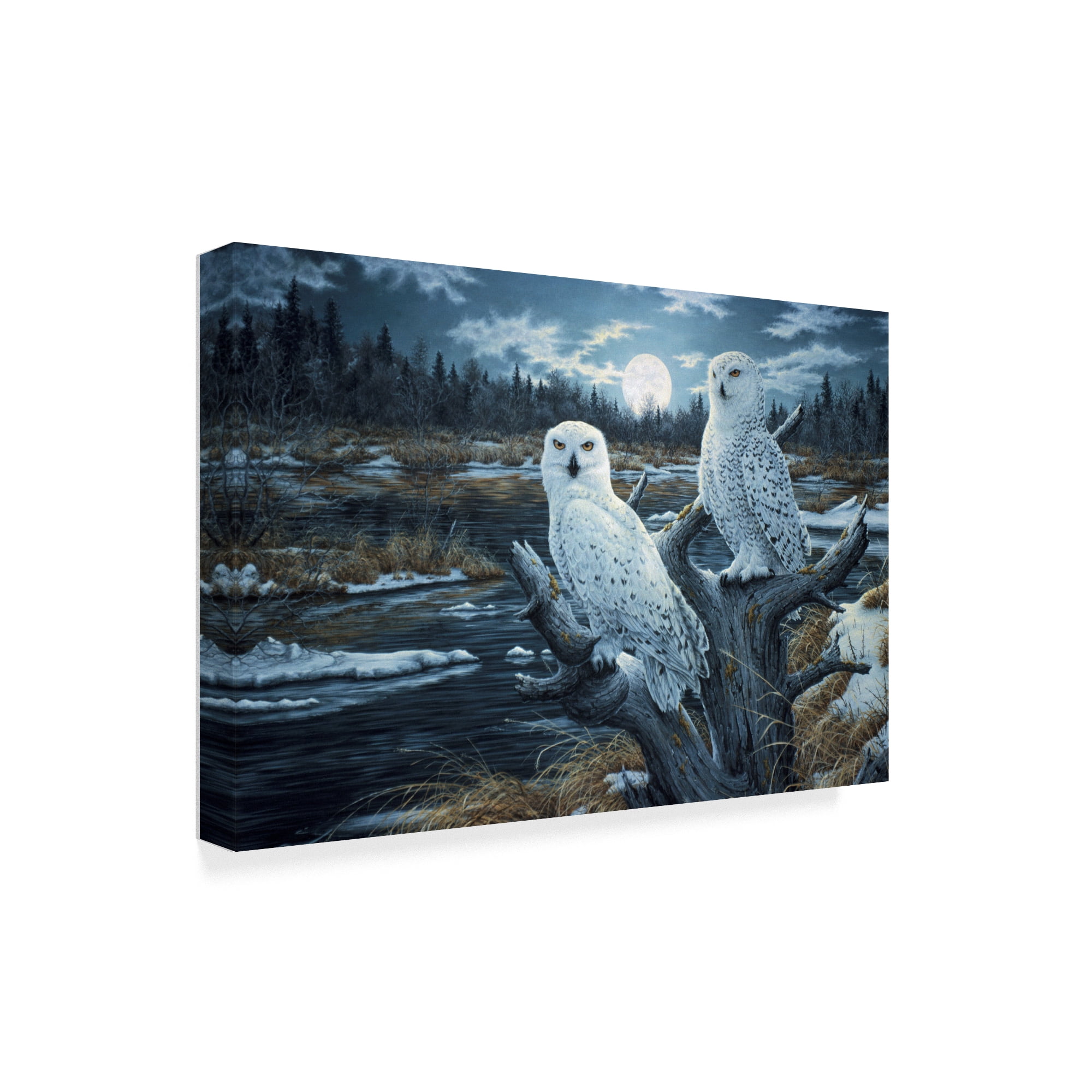 Trademark Fine Art 'Snowy Owls' Canvas Art by Jeff Tift