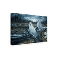 thumbnail image 2 of Trademark Fine Art 'Snowy Owls' Canvas Art by Jeff Tift, 2 of 3