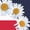 NAVY, variant on Instant Message - Daisy Heart USA Short Sleeve Graphic T-Shirt