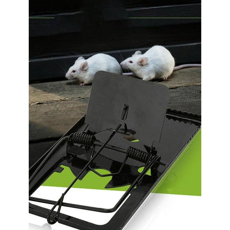 Strong Snap Mouse Rat Traps-High Sensitive Snap Big Plastic Mouse Trap  Rodent Catcher - AliExpress
