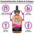 thumbnail image 3 of Biotin 5000 mcg & Collagen 10000 mcg Liquid Drops, Vitamins for Hair Growth and Thickening, Skin Health and Nail Strength, 2 fl oz, 3 of 7