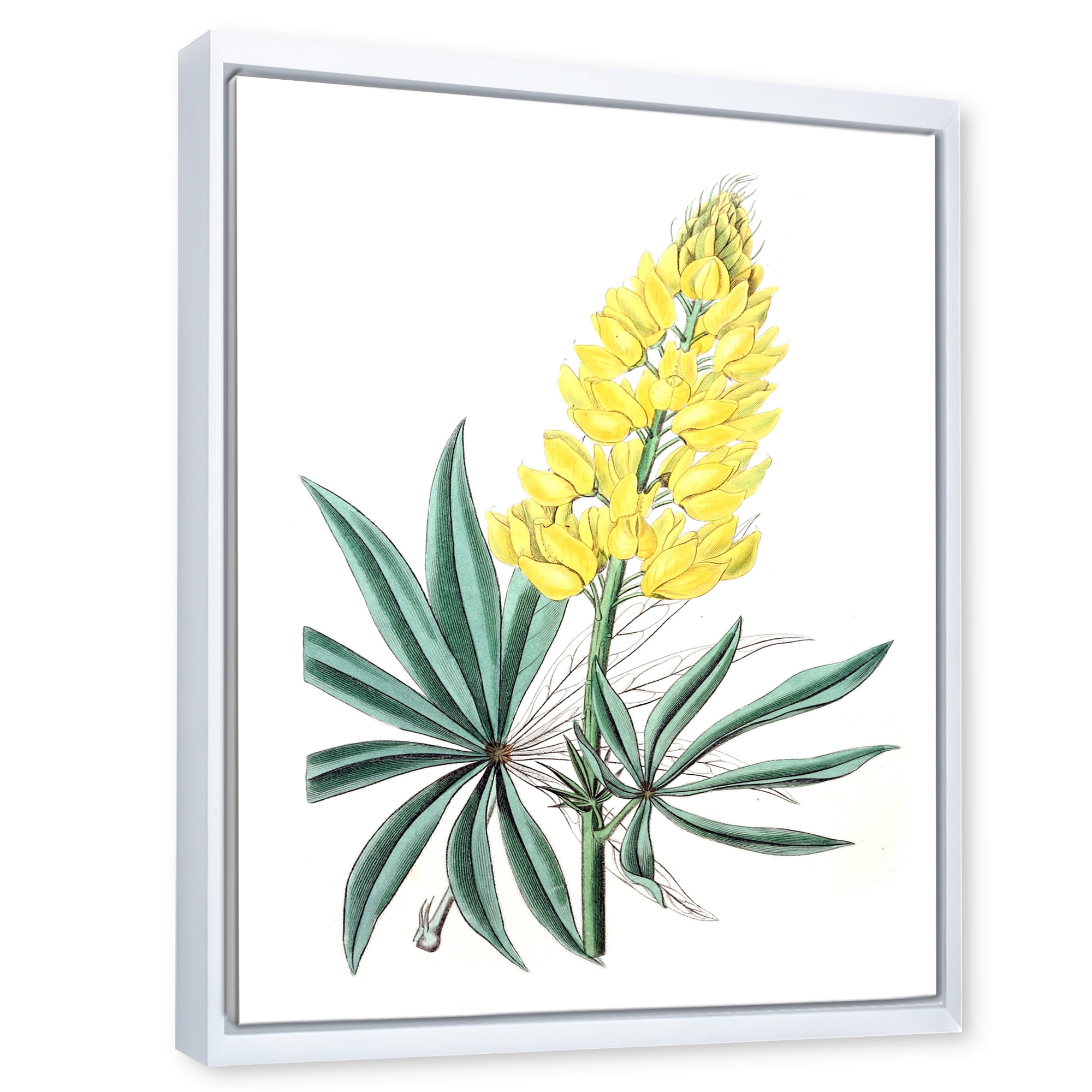 Designart 'Ancient Yellow Flower I' Traditional Framed Canvas Wall Art Print