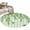 SpringGreen LightGreen, variant on Spring Botanical 2'x6' Runner Rugs for Hallway Kitchen Bedside Non Slip Washable, Watercolor Leaves Flowers Birds Country Entryway Rug Runners with Rubber Backing, Long Carpet Runner for Laundry Room