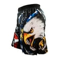 thumbnail image 1 of American Eagle Fight Shorts, 1 of 4
