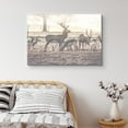 thumbnail image 1 of PixonSign Canvas Print Wall Art Caribou Stand in Sunlit Field Animals Wildlife Photography Realism Contemporary Relax/Calm Multicolor Cool for Living Room, Bedroom, Office - 16"x24", 1 of 5