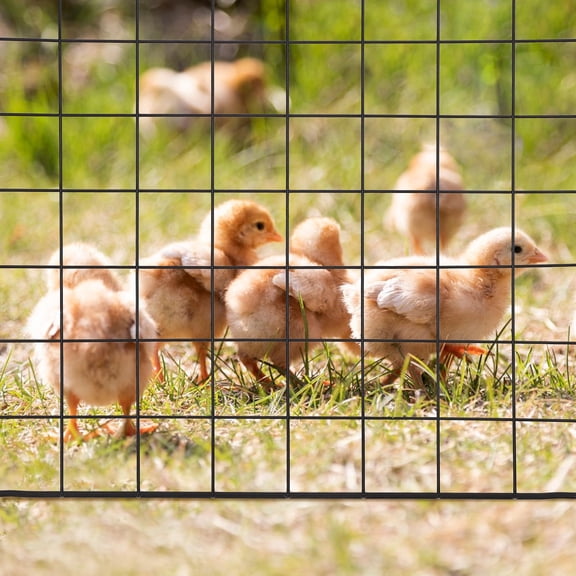 MEIBUTYUP 8-Piece Large Outdoor Playpen Panels Set, Safety Fence for Kids and Pets, Easy Assembly