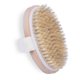 thumbnail image 1 of Exfoliante con cepillo para el cuerpo húmedo y seco: el cepillo de cerdas suaves exfolia naturalmente la piel muerta, suaviza la celulitis y retarda el envejecimiento, 1 of 5