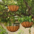 thumbnail image 3 of 3xHanging Coconut Basket Macetero Maceta Marco de Metal Negro Percha 10 Pulgadas Sunnimix Cesta de flores colgante, 3 of 8
