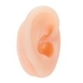 thumbnail image 1 of Modèle d'Oreille Droite Humaine, Modèle d'Oreille en Silicone Simulation Modèle d'Affichage d'Oreille Fiable et Durable, 1 of 8