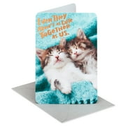 American Greetings Anniversary Card (Trash-talking)
