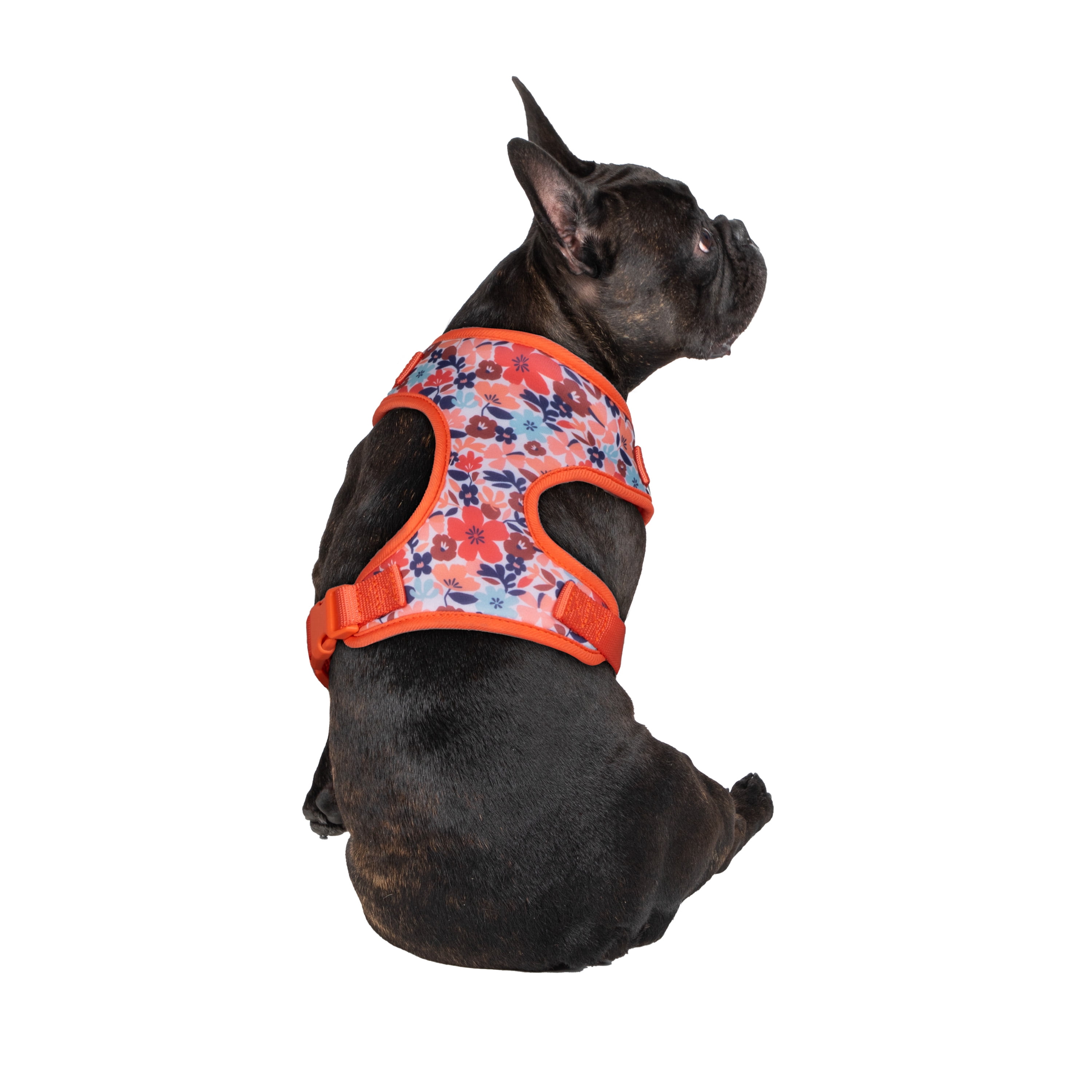 Vibrant Life Floral Dog Walking Harness, Red, M (17" to 20" Chest Size)