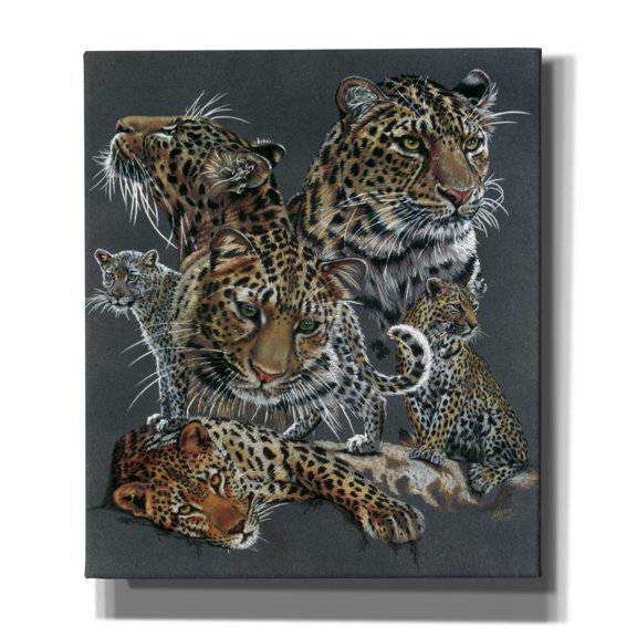 Epic Graffiti 'Shameless' by Barbara Keith, Canvas Wall Art, 26"x30"