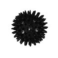 thumbnail image 2 of Bolas de Ejercicio Compacto Salvador Bola de masaje Negro, 2 of 6