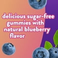 thumbnail image 5 of Vitafusion Women's Sugar Free Gummy Multivitamin, Delicious Blueberry Flavor Multivitamins for Women 90ct, 5 of 9