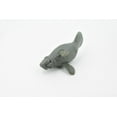 thumbnail image 5 of Manatee, Sea Cow, Dugongs, Museum Quality, Hand Painted, Very Realistic Rubber Mammal, Model, Educational, Gift, 3 1/2" CH0256 BB123, 5 of 7