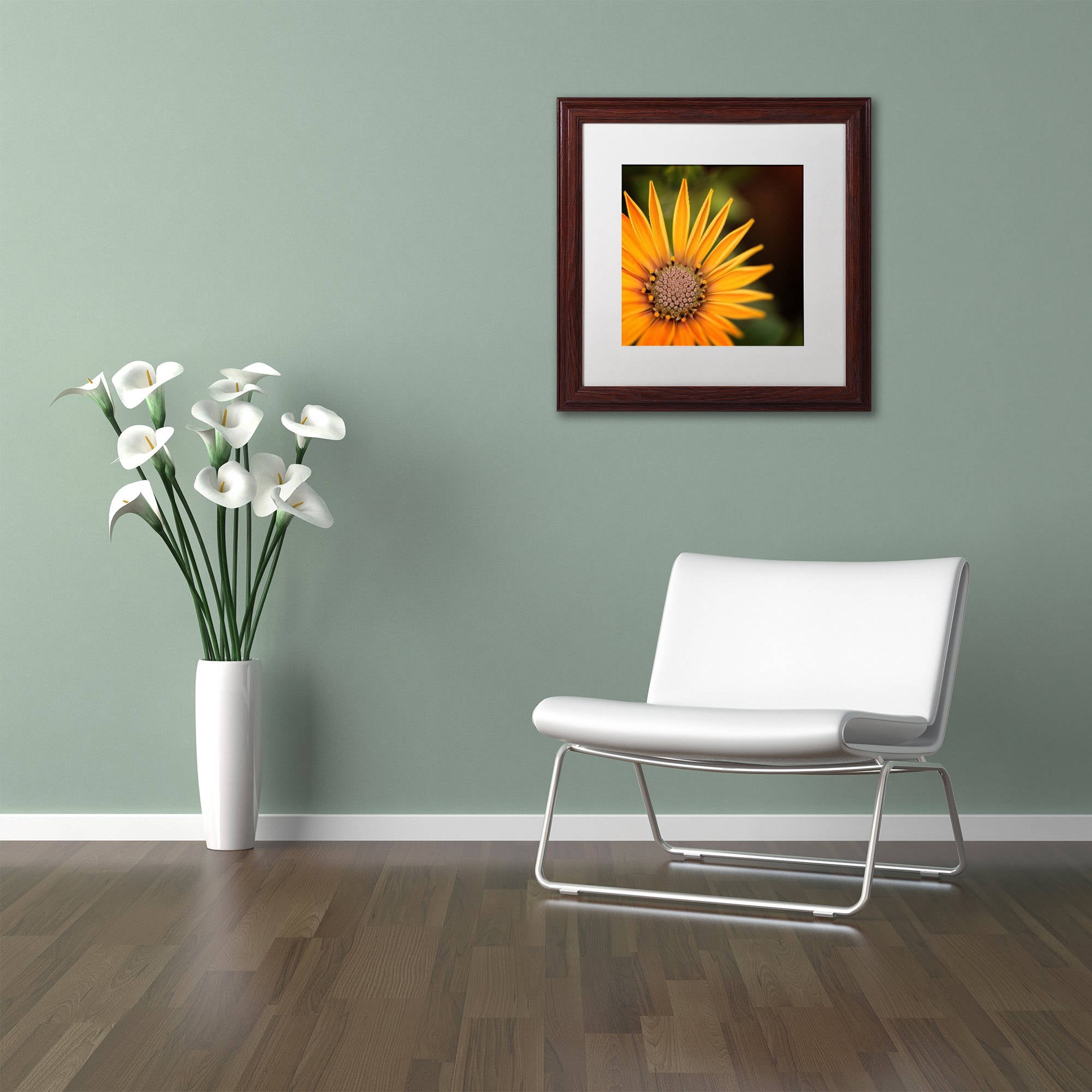 Trademark Fine Art "Everyday" Canvas Art by Philippe Sainte-Laudy, White Matte, Wood Frame
