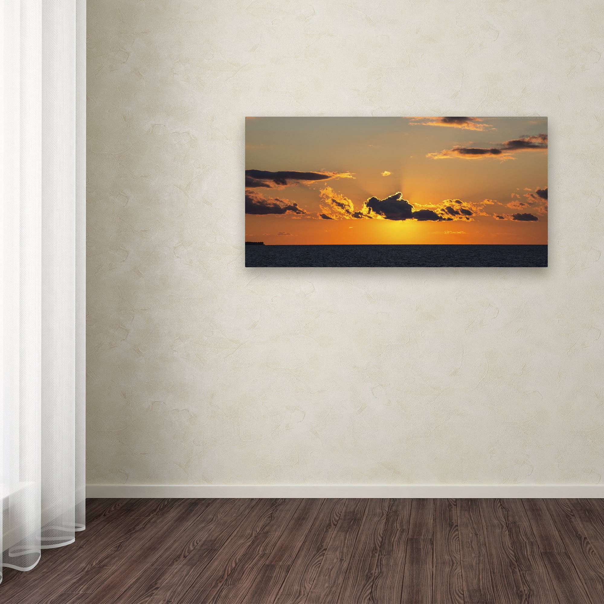 Trademark Fine Art "Sunset Beauty" Canvas Art by Kurt Shaffer