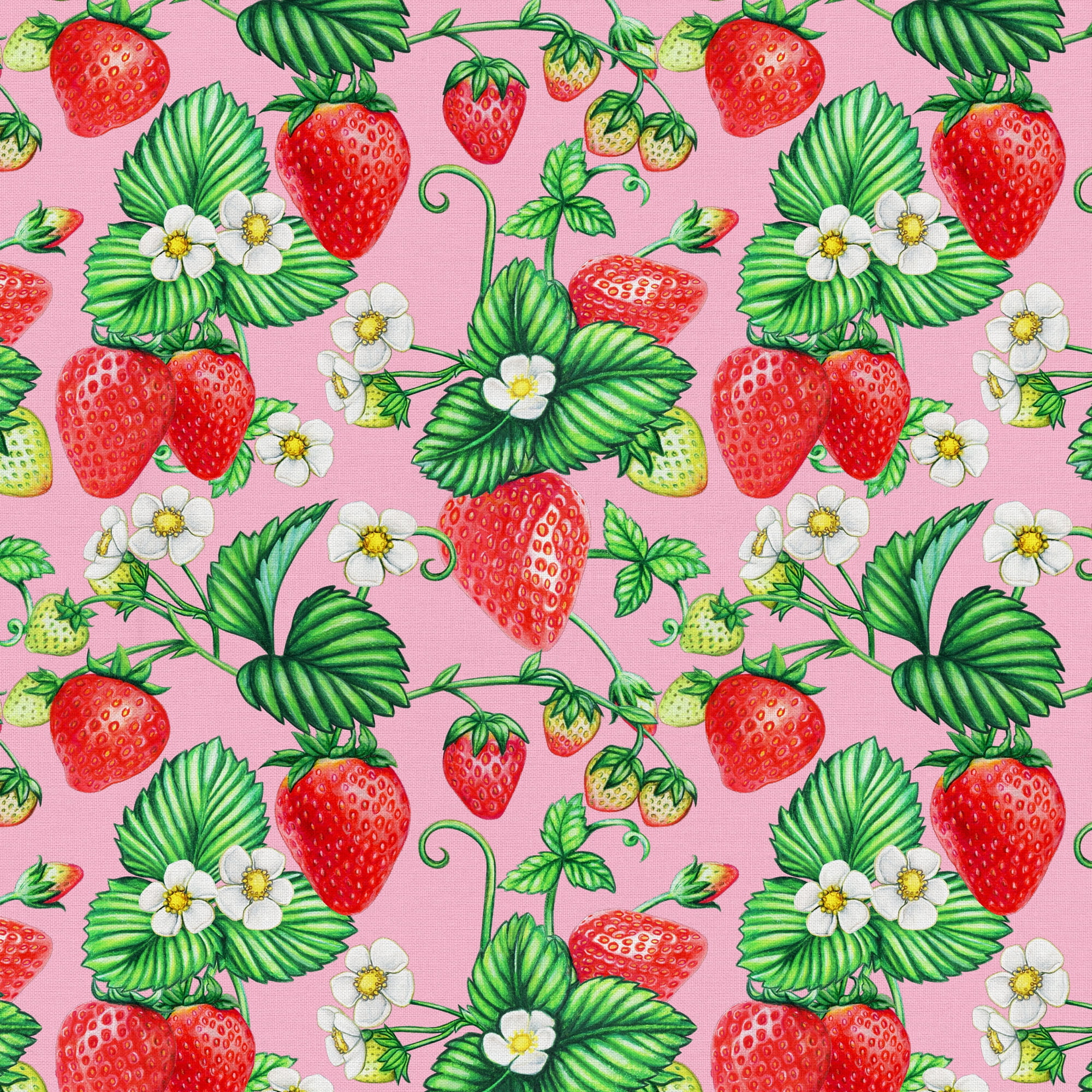 (2 pack) Half-Yard 100% Cotton Summer Strawberry, Pink, Red, 44" Wide for Quilting & Sewing by David Textiles