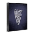thumbnail image 3 of Stupell Industries Tropical Nautical Cone Shell Black Framed Giclee Art, 11 x 14, by Graffitee Studios, 3 of 8