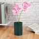 thumbnail image 3 of Orchid Pot Ceramic Orchid Planter Hollow Out Planter Pot Indoor Plants Pot Cylinder Pot Gardening Pot With Holes And Saucer, 3 of 4