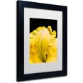 thumbnail image 2 of Trademark Fine Art "Day Lily Abstract" Canvas Art by Kurt Shaffer, White Matte, Black Frame, 2 of 4