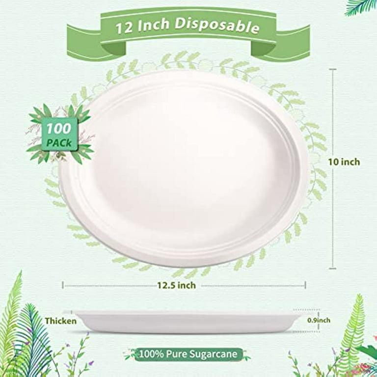 Oval Paper Plates 60 Pack, Large Paper Plates 12 inch, 100% Compostable Paper Plates Eco Friendly Disposable Plates, Super Strong Sturdy Paper