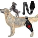 thumbnail image 2 of Dog Elbow Brace, Dog Compression Knee Brace, Elbow And Shoulder Support, Dysplasia, Arthritis, Elbow Calluses, Pressure Sores, Shoulder Dislocation, 2 of 5