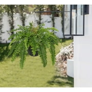 GnFlus Artificial Fern Plants Hanging Greenery Faux Ferns with Basket 25Boston Fern 31 Leaves Fake Fern Indoor Outdoor Potted Plants bathroom Home Office Decor Dusty Green