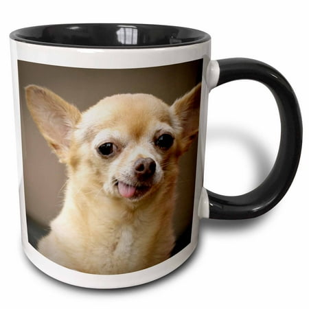 Chihuahua Santa - 3dRose Toothless Chihuahua Dog, Santa Fe, New Mexico - US32 JMR0502 - Julien McRoberts - Two Tone Black Mug, 11-ounce