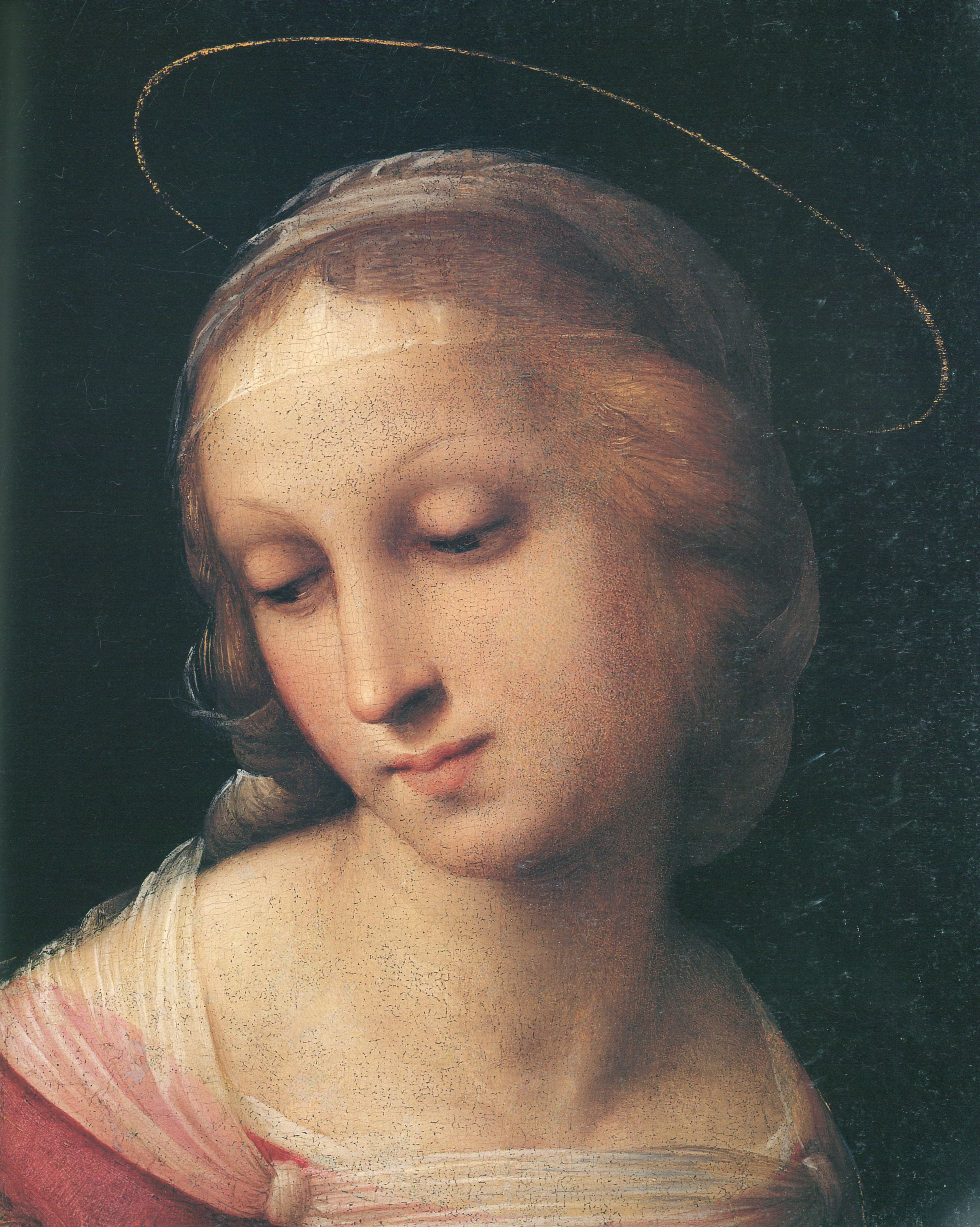 Acrylic Face Mounted Prints Raffael - Madonna del Passeggio Print 20 x ...