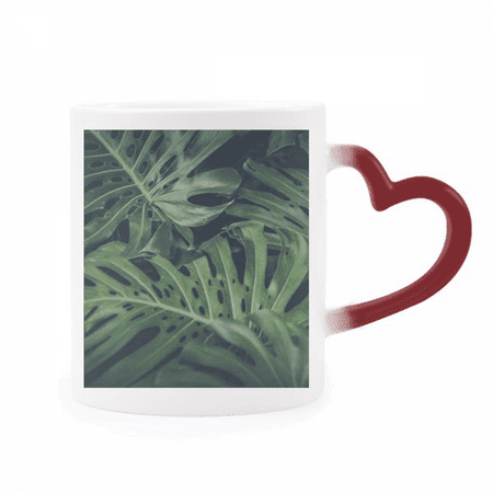 

Green Picture Night Nature Heat Sensitive Mug Red Color Changing Stoneware Cup